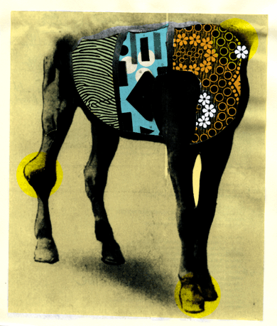 Equine series: Flowerguts
