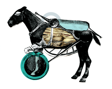 Equine series: Jockey Kay